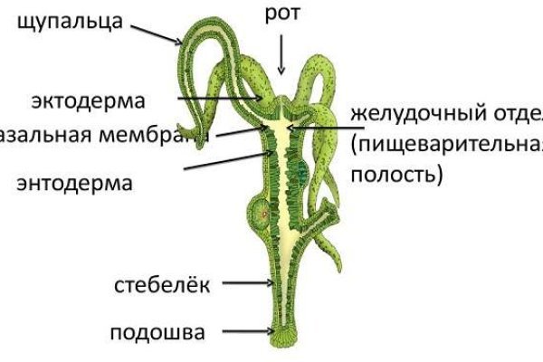 Kraken официальный сайт ссылка через tor