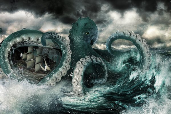 Http kraken