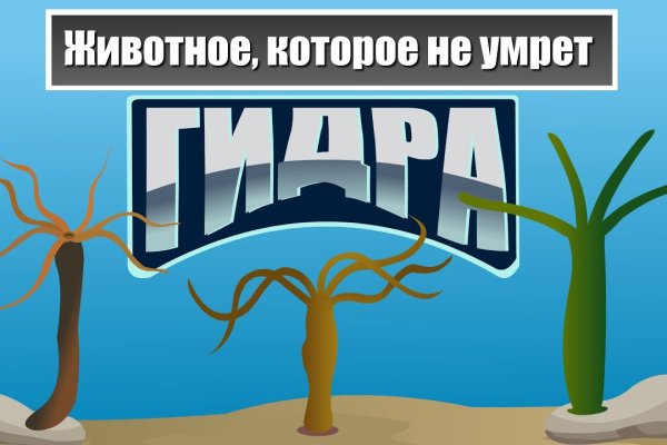 Кракен без тора