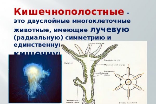 Кракен онион ссылки